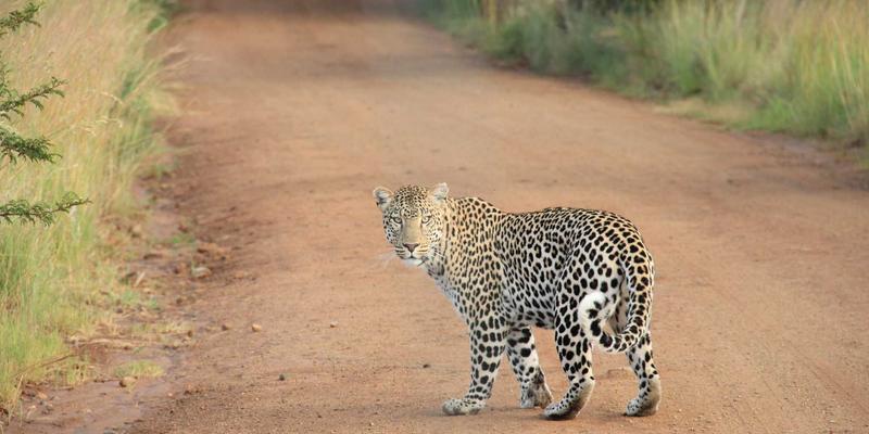 PC游戏资讯与攻略全解析：从新作速报到制胜技巧