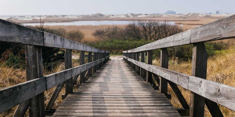 主机游戏全球化必修课：从游戏评测与攻略看文化适配的关键挑战