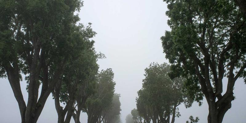 云游戏平台实测对比：谷歌Stadia、微软xCloud与腾讯Start，谁才是XY020时代的主机游戏与PC游戏新宠？