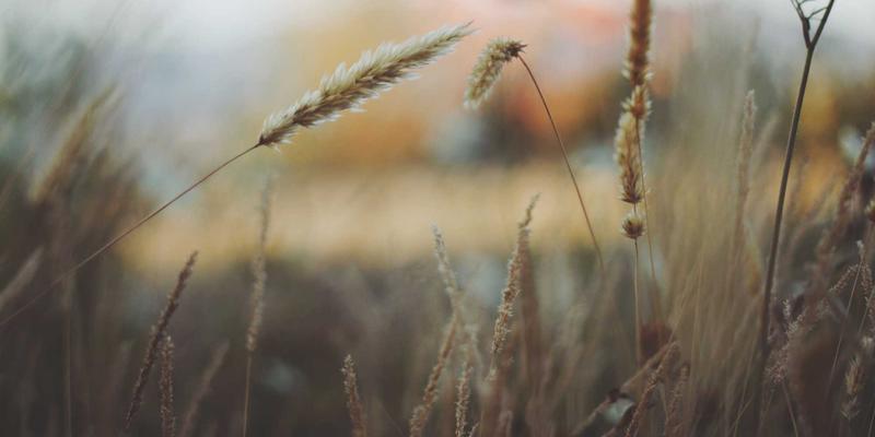 云游戏延迟与画质终极对决：从微软xCloud到腾讯START的实战评测与游戏攻略