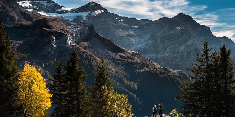 云游戏服务深度评测：Xbox Cloud Gaming与GeForce Now的体验、延迟与未来展望