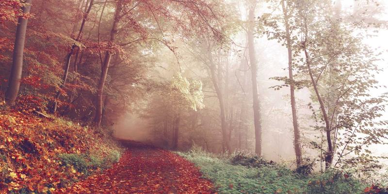 元宇宙浪潮下的游戏形态变革：玩家社区、手游进化与沉浸式体验的未来