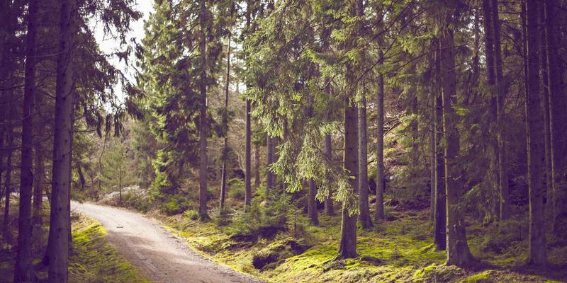 手游新时代：玩家社区如何重塑游戏攻略生态