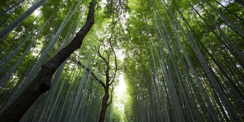 手游社区生态建设：Discord、Reddit与Fan Site如何通过游戏评测塑造玩家文化与品牌忠诚度