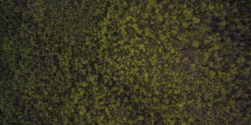 游戏订阅服务深度对比：Xbox Game Pass、PS Plus与Apple Arcade的商业模式与游戏库策略