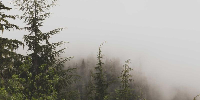 游戏评测与攻略进阶：高端电竞外设如何提升你的操作上限