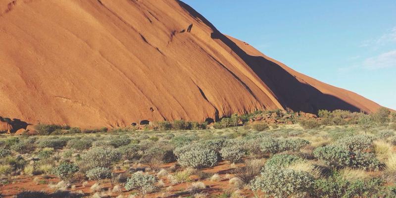 游戏资讯27：攻略、社区与资讯如何塑造现代游戏体验