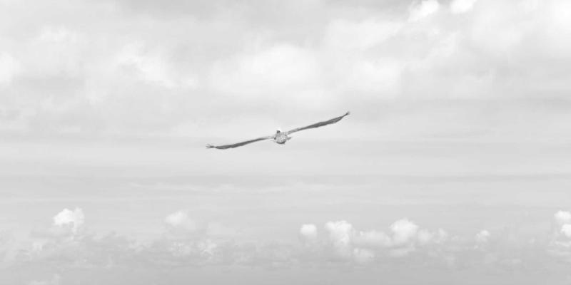 游戏资讯32：XY020深度攻略与版本前瞻，助你制霸新版本